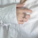 Open Quad Ring・ナビイメージ-1