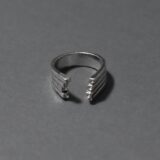 Open Quad Ring・ナビイメージ-4